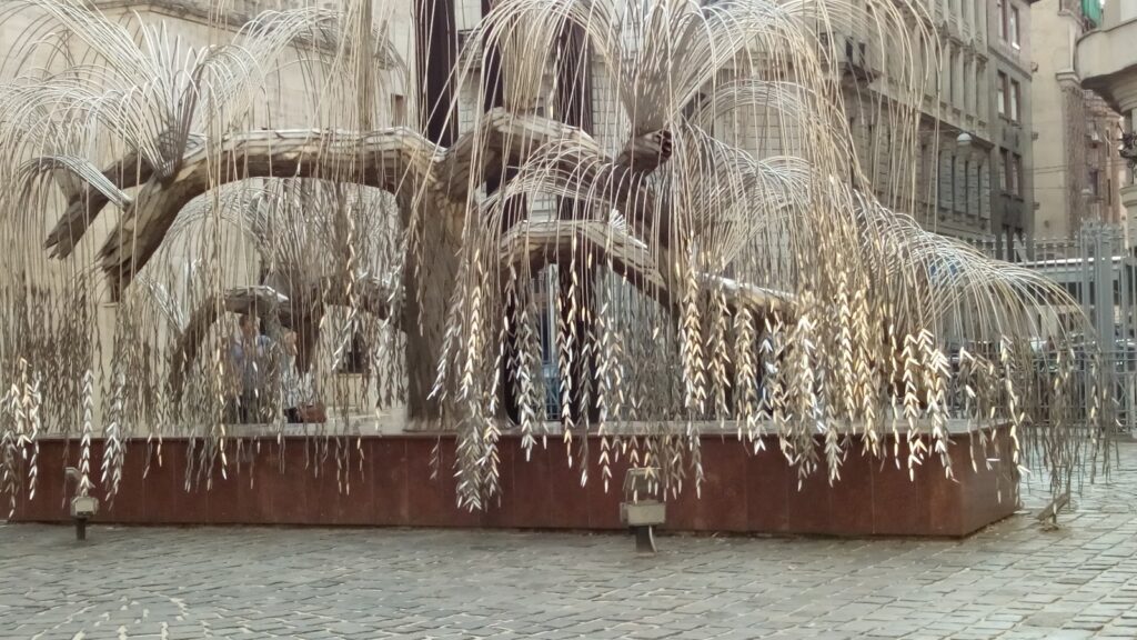 Weeping willow tree with cascading branches over a water body.