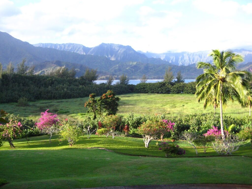 A vibrant garden with colorful flowers and distant mountains under a clear sky.