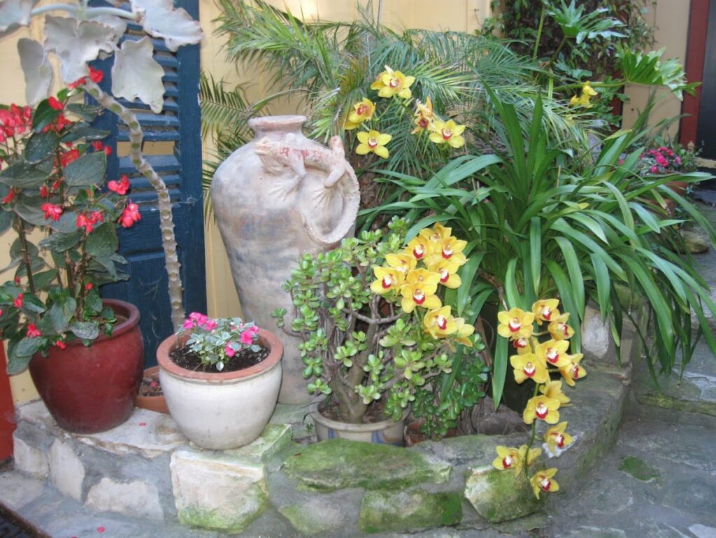 A garden corner with yellow flowers and pottery.