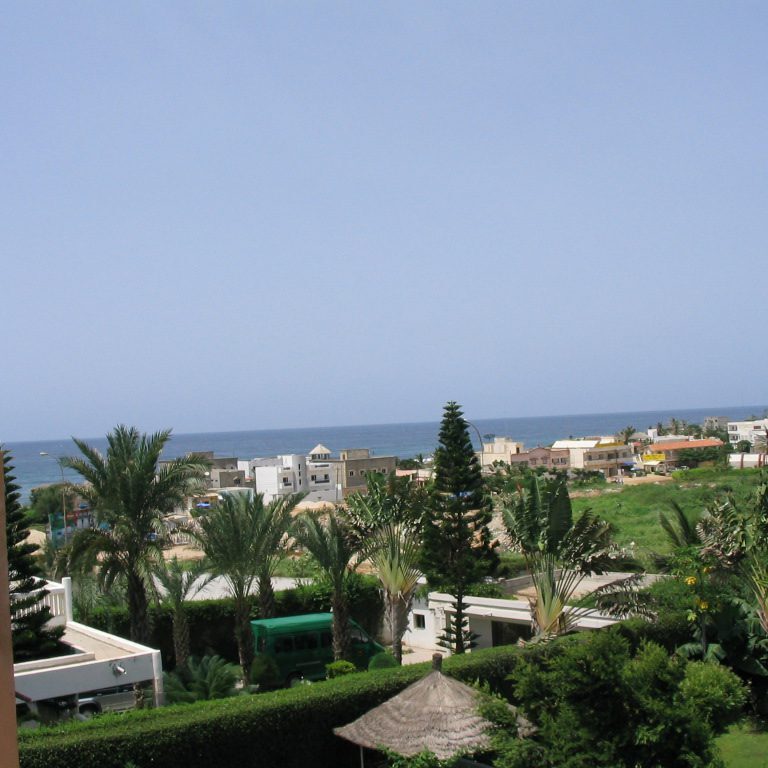 Scenic view of palm trees and distant ocean under a clear blue sky.